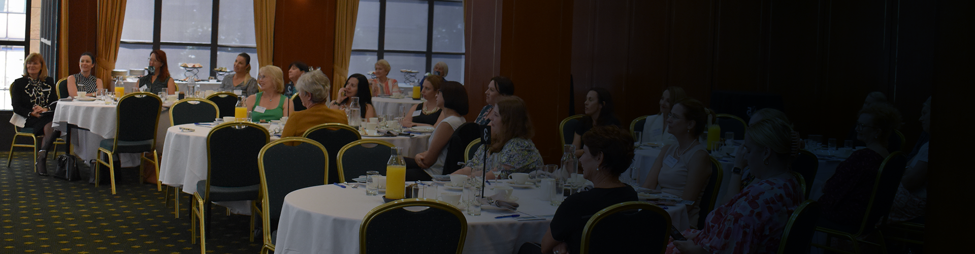 Access the audio recording here